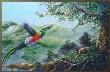 Resplendent Quetzals by Gamini Ratnavira Limited Edition Print