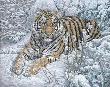 Snow Queen by Lee Kromschroeder Limited Edition Print