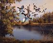 Millers Pond by Mark S Anderson Limited Edition Print