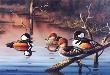 Hooded Mergansers by Mark S Anderson Limited Edition Pricing Art Print