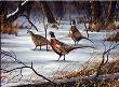 Winter Pheasants by Mark S Anderson Limited Edition Pricing Art Print