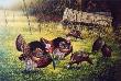 Spring Gathering by Mark S Anderson Limited Edition Print