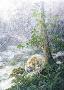 Guardian Spirit Bear by Judi Wild Limited Edition Pricing Art Print