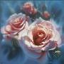 Pink Roses by Collin Bogle Limited Edition Pricing Art Print