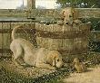 Companions Yellow Labs by Jim D Lamb Limited Edition Print