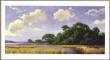 Southern Horizons by Jim D Lamb Limited Edition Print