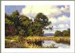 Southern Reserve by Jim D Lamb Limited Edition Print