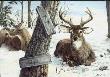 Deer Stand by Helen Howerton Limited Edition Print