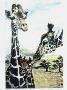 Giraffe Study by Helen Howerton Limited Edition Pricing Art Print