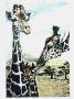 Giraffe Study by Helen Howerton Limited Edition Print