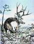 Pine Ridge Muley by Helen Howerton Limited Edition Print