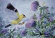 Goldfinch Feast by Helen Howerton Limited Edition Print