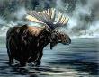 Yellowstone Monarch by Helen Howerton Limited Edition Print