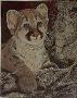 Baby Cougar by Tyler Thompson Limited Edition Print