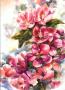 Blossoms by Connie Glowacki Limited Edition Print