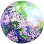 Lilacs Forever I by Connie Glowacki Limited Edition Pricing Art Print