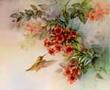 Calliope Hummingbird by Lena Liu Limited Edition Pricing Art Print