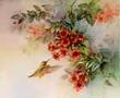 Calliope Hummingbird by Lena Liu Limited Edition Print