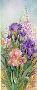 Purple Iris Foxgloves by Lena Liu Limited Edition Pricing Art Print