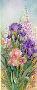 Purple Iris Foxgloves by Lena Liu Limited Edition Print