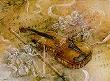 Violin Concerto by Lena Liu Limited Edition Print