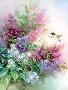 Hummingbird Lilac by Lena Liu Limited Edition Pricing Art Print