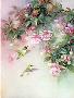 Hummingbird Fuchs by Lena Liu Limited Edition Pricing Art Print