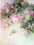 Hummingbird Fuchs by Lena Liu Limited Edition Print