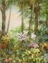 Orchid Oasis by Lena Liu Limited Edition Pricing Art Print