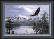 Majestic Flight by Fred Buchwitz Limited Edition Print