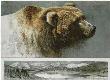 Keeper Of Land by Robert Bateman Limited Edition Print