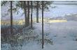 Edge Of Night Wolv by Robert Bateman Limited Edition Print