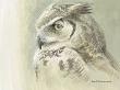 Samantha by Robert Bateman Limited Edition Pricing Art Print