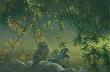 On The Pond Wdd by Robert Bateman Limited Edition Print