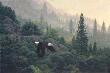 October Flight by Stephen E Lyman Limited Edition Print