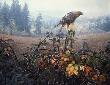 Raptor by Stephen E Lyman Limited Edition Print