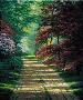 Woodland Light by Charles H White Limited Edition Print