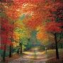 Autumn Trails by Charles H White Limited Edition Print