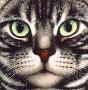 9 Lives Americn by Braldt Bralds Limited Edition Print