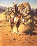 On Old North Trail by Frank Mccarthy Limited Edition Print
