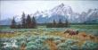 Summer In Tetons by Jan Martin Mcguire Limited Edition Print