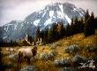 Majesty In Mtns by Jan Martin Mcguire Limited Edition Print