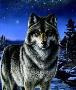 Night Watch by James A Meger Limited Edition Print