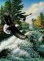 Whitewater by James A Meger Limited Edition Print