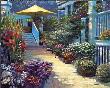 Nantucket Flower by Howard Behrens Limited Edition Pricing Art Print