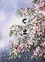 Crabapple Pair Chckdee by Rosemary Millette Limited Edition Print