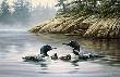 Northern Mist Loons by Rosemary Millette Limited Edition Print