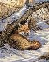 Restful Moment by Rosemary Millette Limited Edition Print