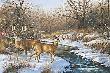 Whispering Creek by Rosemary Millette Limited Edition Print