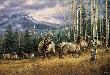 Backcountry Elk by Rosemary Millette Limited Edition Print